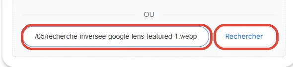 Champ Google Lens avec le lien d’une image et le bouton rechercher