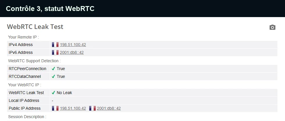 Statut WebRTC sans fuite avant de lancer Fortnite