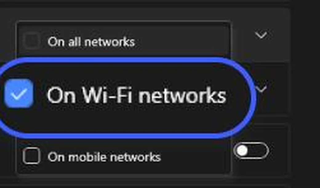 Option On WiFi networks dans Auto connect NordVPN